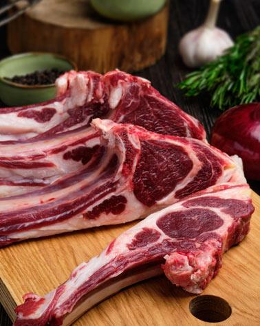 Lamb