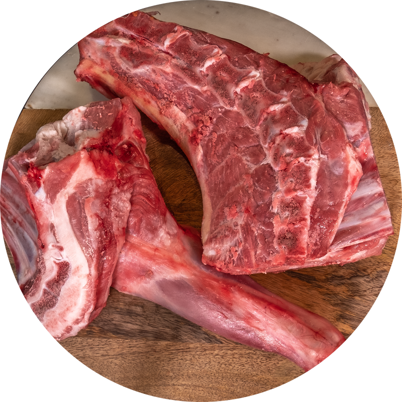 Goat Shoulder